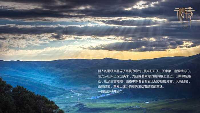 动物帮帮忙保卫家园