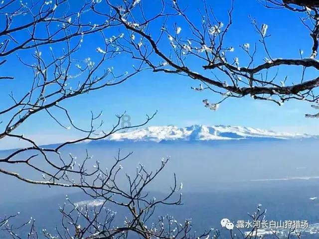 万词王