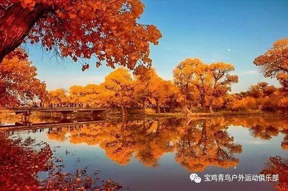 妙鸭相机app下载官网