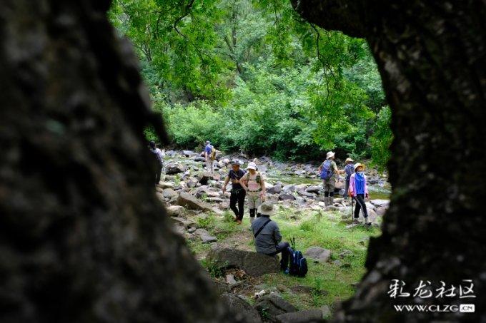 探秘由顿涅茨克和卢甘斯克组成的顿巴斯地区,对于乌克兰来说有多重要?红迪网平台,畅享无限乐趣!