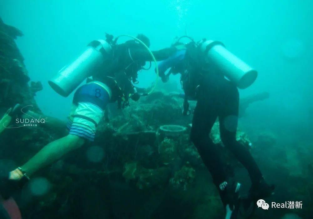 古代历史上有哪些好的防蝗、灭蝗的办法?你了解到的有多少种?